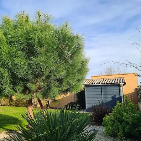 Le Donjon Cosy En Lotissement Proche Du Puy Dufou * 莱塞比耶