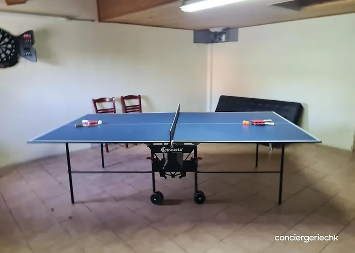 Hébergement de vacances Le Donjon Cosy En Lotissement Proche Du Puy Dufou Les Herbiers